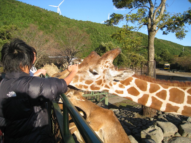 ファイル 529-1.jpg