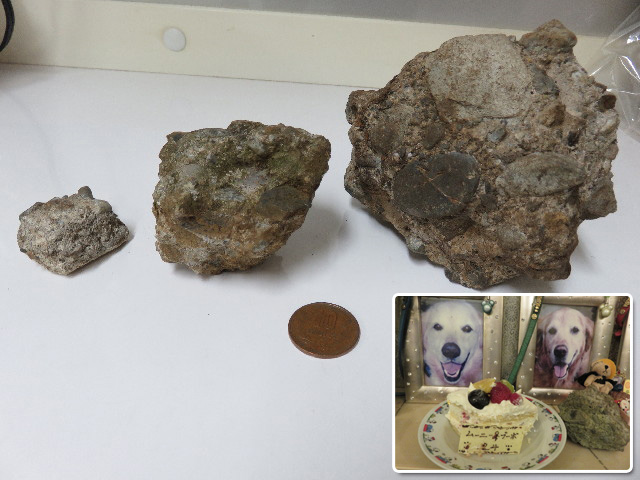 ファイル 5290-3.jpg