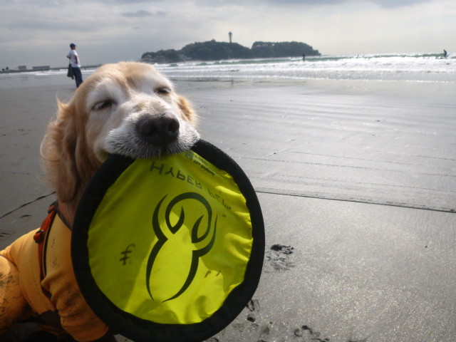 ファイル 5291-5.jpg