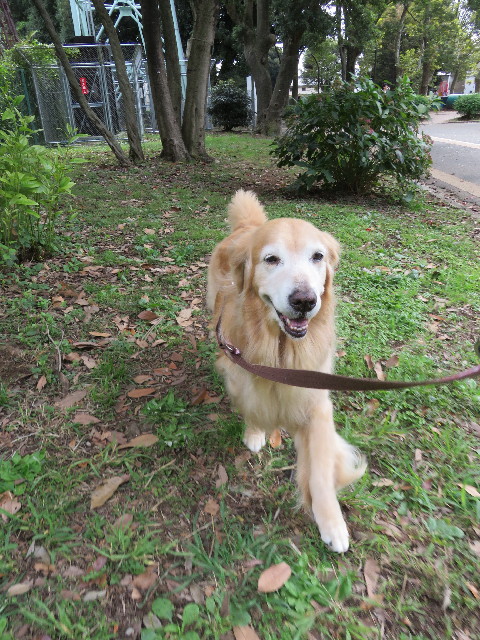 ファイル 5294-3.jpg