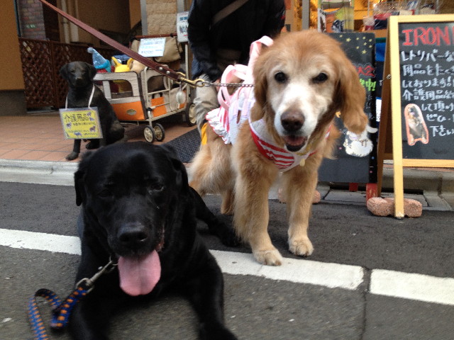 ファイル 5297-1.jpg