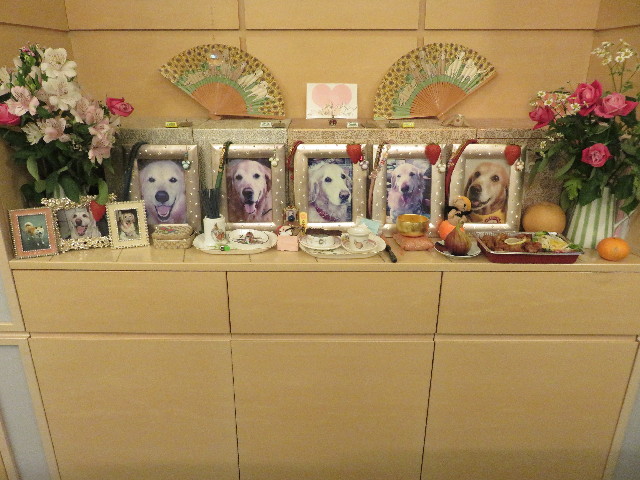 ファイル 5297-2.jpg