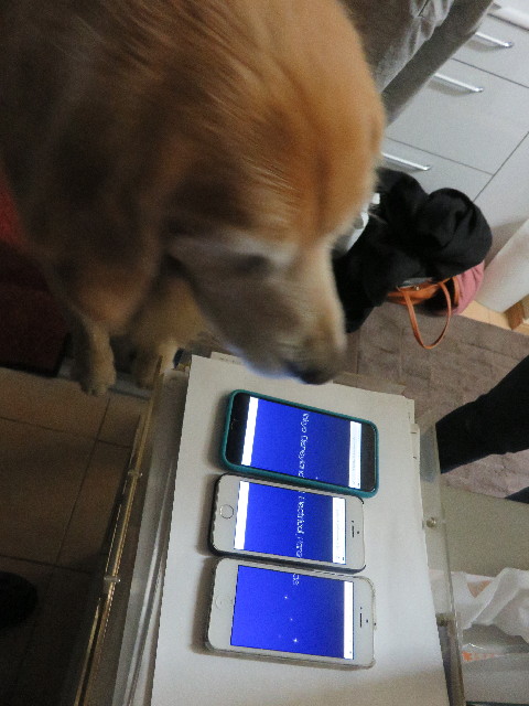 ファイル 5298-3.jpg