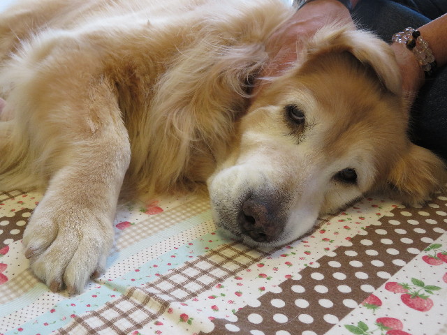 ファイル 5298-5.jpg