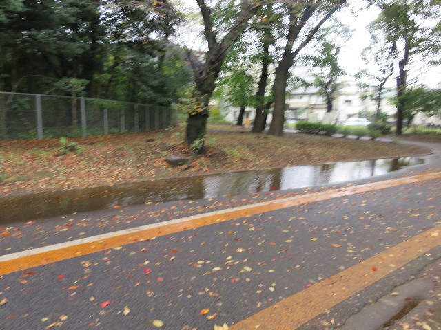 ファイル 5299-1.jpg