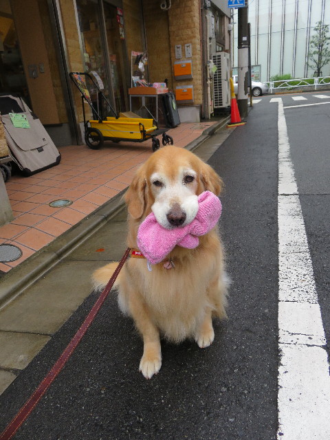 ファイル 5299-2.jpg