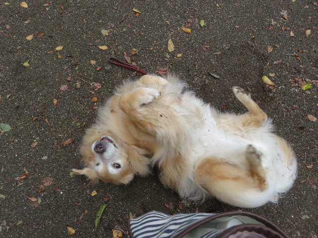 ファイル 5299-4.jpg