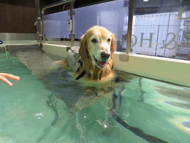 ファイル 5300-3.jpg