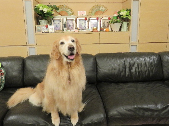 ファイル 5301-5.jpg