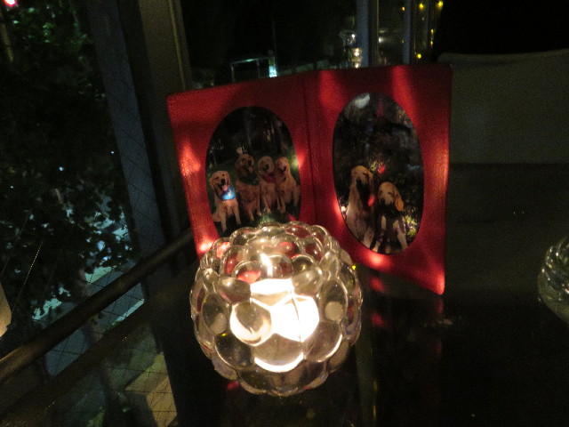 ファイル 5302-1.jpg