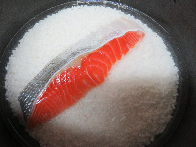 ファイル 5303-1.jpg