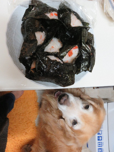 ファイル 5303-3.jpg