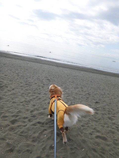 ファイル 5304-1.jpg