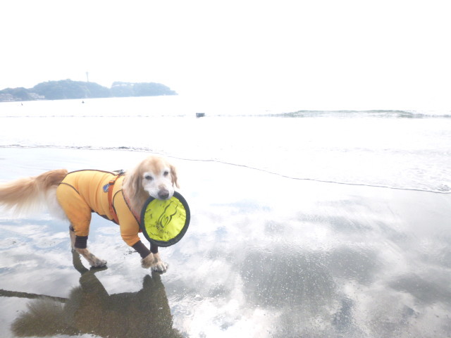 ファイル 5304-2.jpg