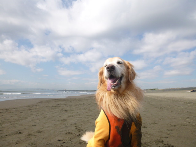 ファイル 5304-3.jpg