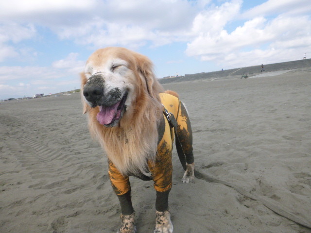 ファイル 5304-4.jpg