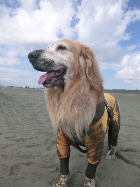 ファイル 5304-5.jpg