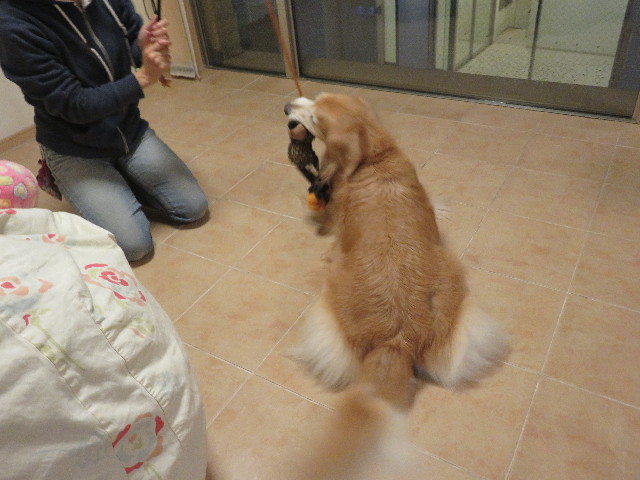 ファイル 5307-5.jpg