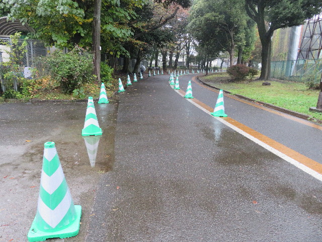 ファイル 5308-1.jpg