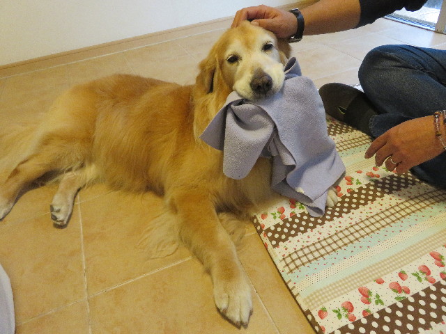 ファイル 5308-3.jpg