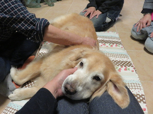 ファイル 5308-4.jpg