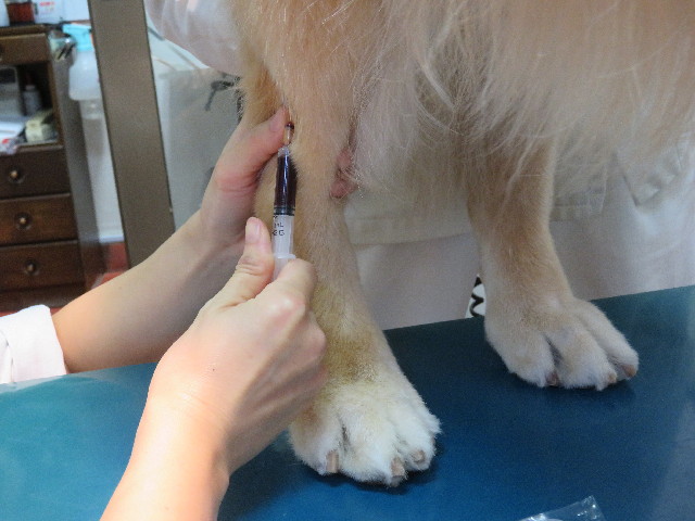 ファイル 5309-1.jpg