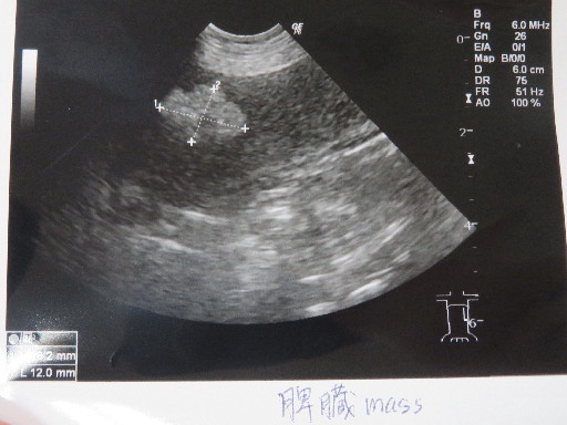 ファイル 5309-2.jpg