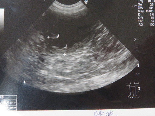 ファイル 5309-4.jpg