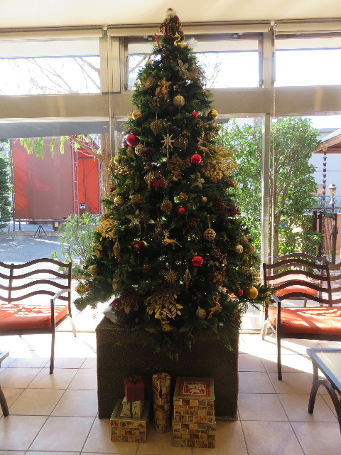 ファイル 5311-1.jpg