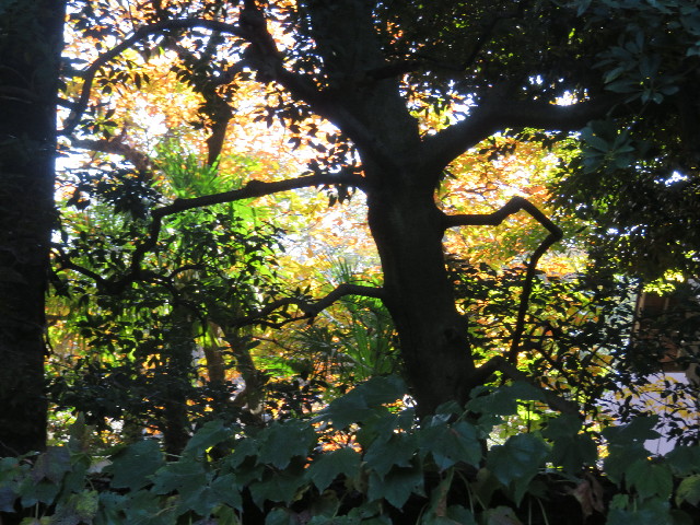 ファイル 5311-3.jpg