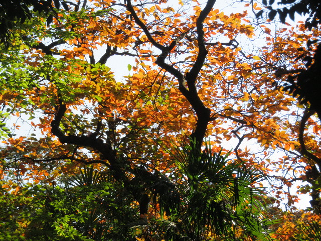 ファイル 5311-4.jpg