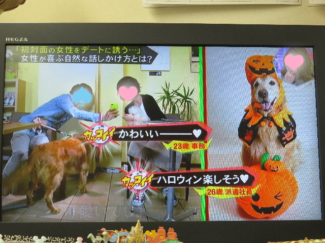 ファイル 5313-3.jpg