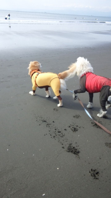 ファイル 5314-1.jpg