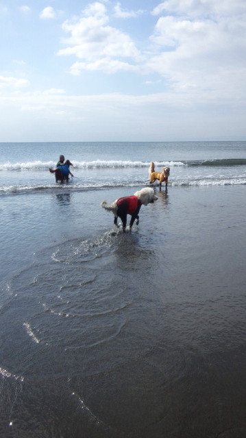 ファイル 5314-2.jpg