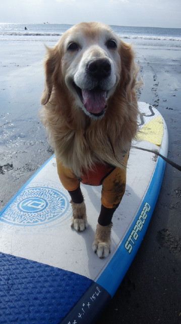 ファイル 5314-4.jpg