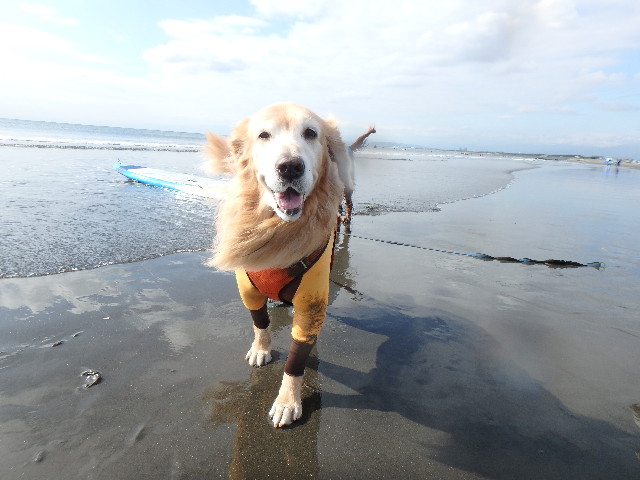 ファイル 5315-5.jpg