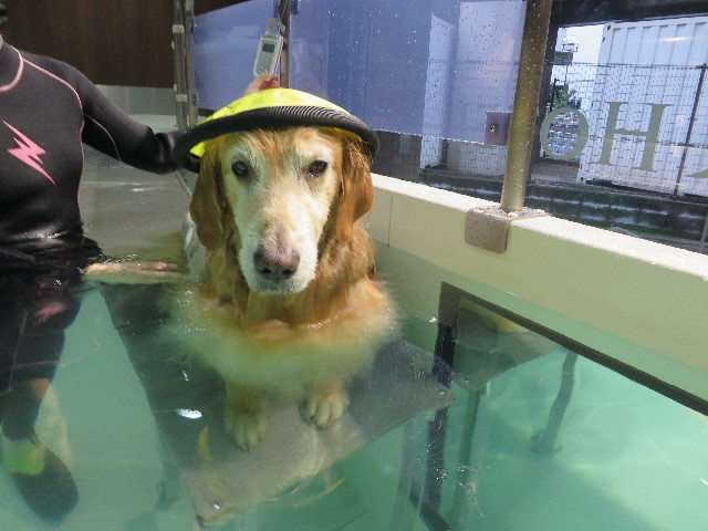 ファイル 5316-5.jpg