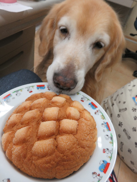 ファイル 5317-2.jpg