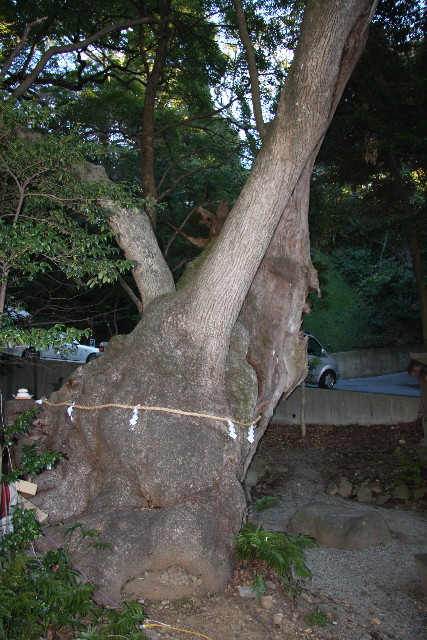 ファイル 532-5.jpg