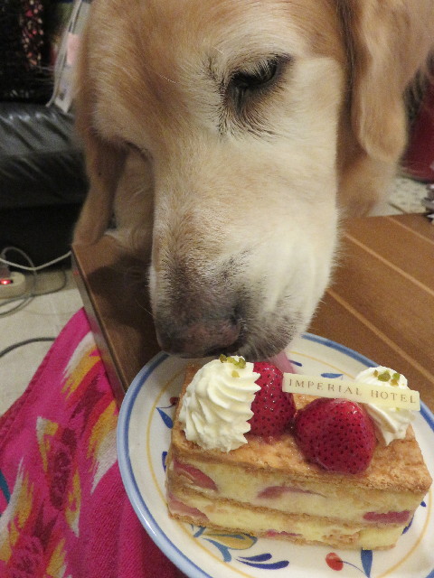 ファイル 5320-3.jpg