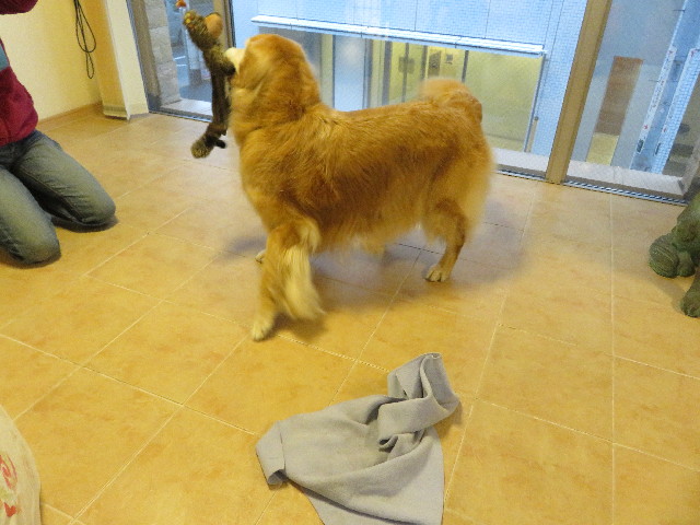 ファイル 5321-2.jpg