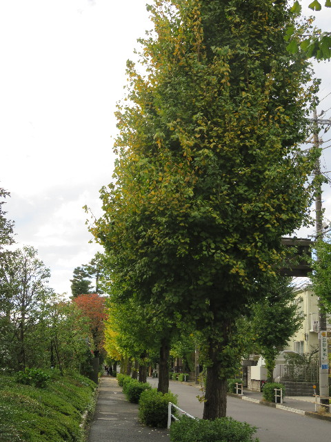 ファイル 5322-1.jpg