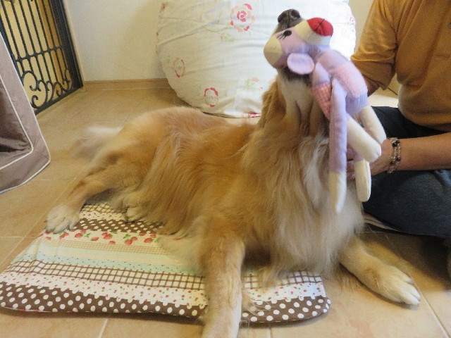 ファイル 5322-4.jpg