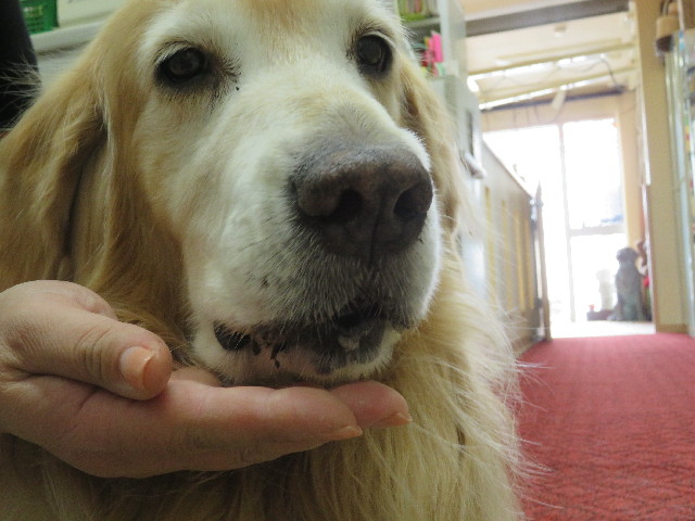 ファイル 5322-5.jpg