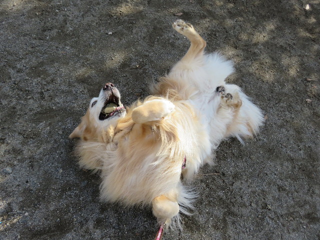 ファイル 5323-4.jpg