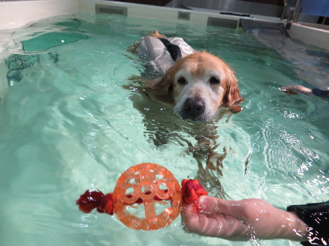 ファイル 5324-3.jpg