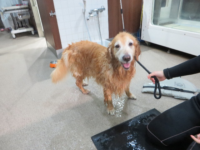 ファイル 5324-5.jpg