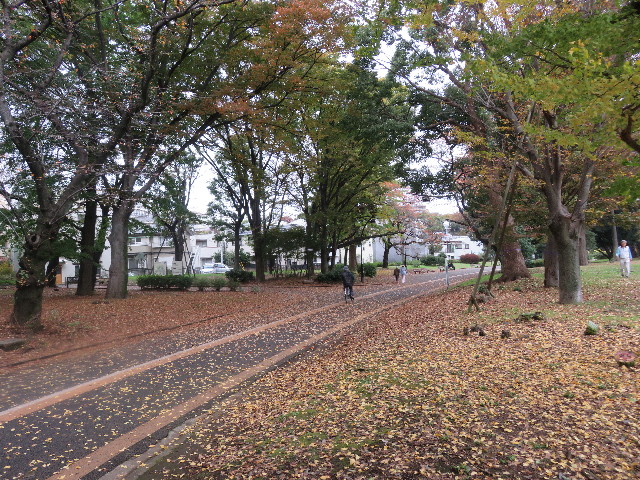 ファイル 5326-5.jpg