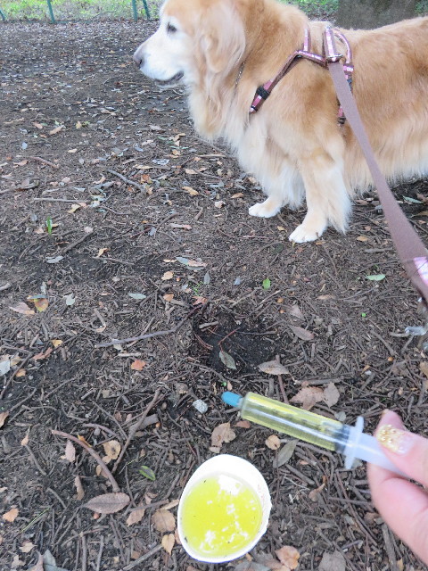 ファイル 5329-5.jpg