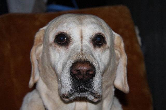 ファイル 533-1.jpg